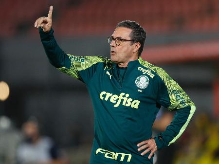 Merece medalha? Confira o quanto Vanderlei Luxemburgo contribuiu para o Palmeiras ser campeão da Libertadores
